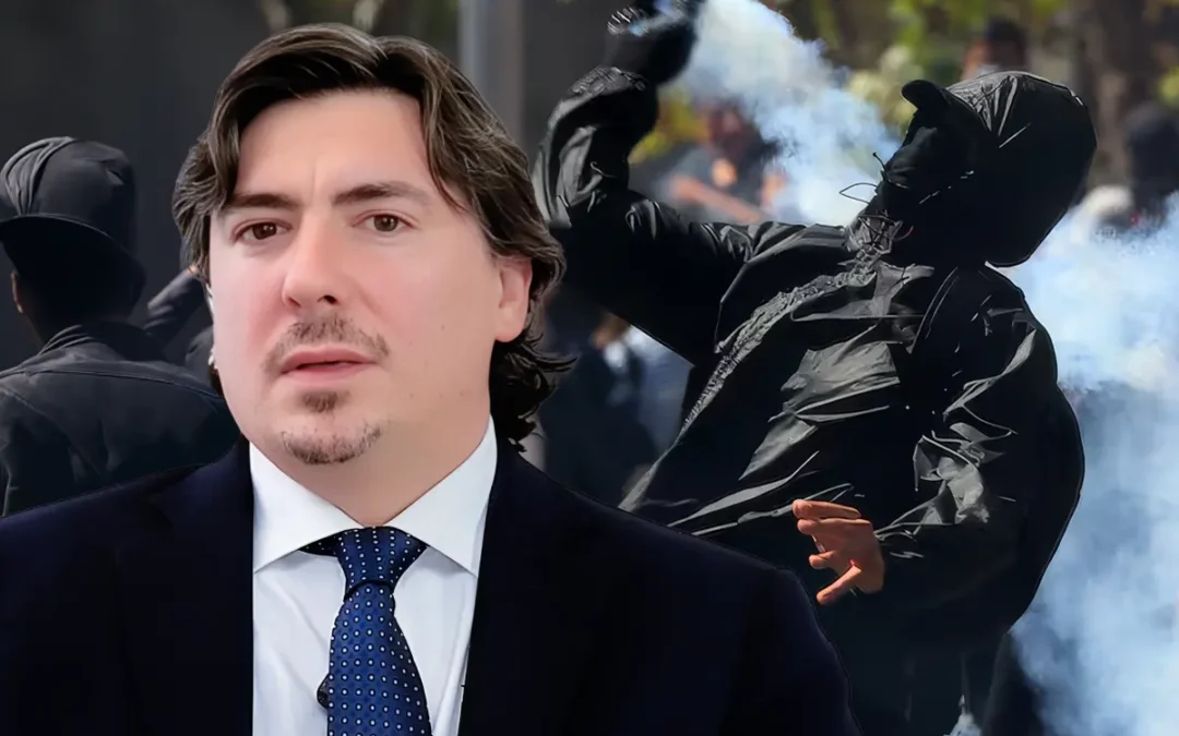 Registro de Vándalos: Gonzalo Hoyl advierte desafíos de proporcionalidad en el proyecto